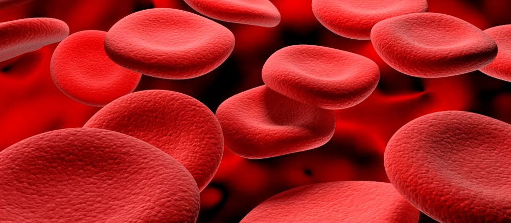 Как быстро поднять гемоглобин в крови