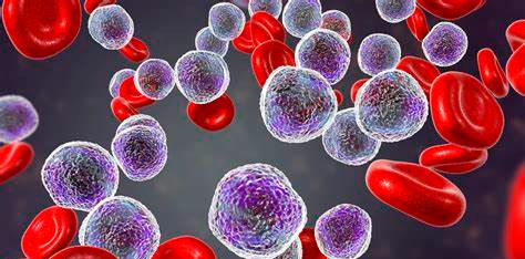 Онкологическая болезнь лейкоз крови: что это такое? Анализы при лейкозе, указывающие на стадию и вид